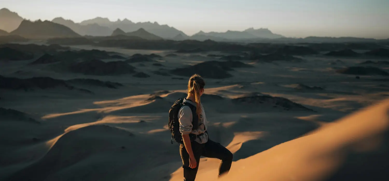 Desert landscape