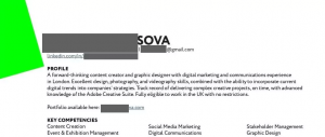 Creative resume example