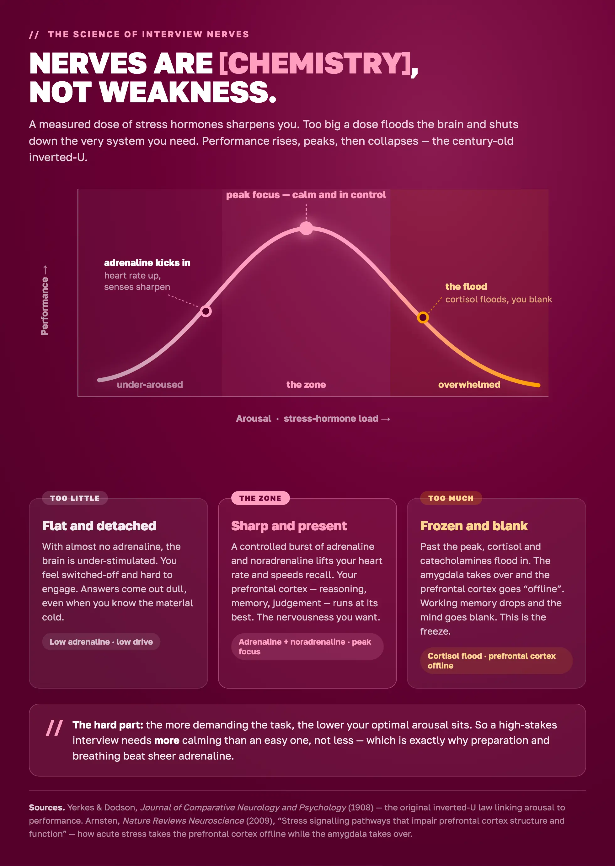 Inverted-U curve showing how stress hormones lift then destroy interview performance