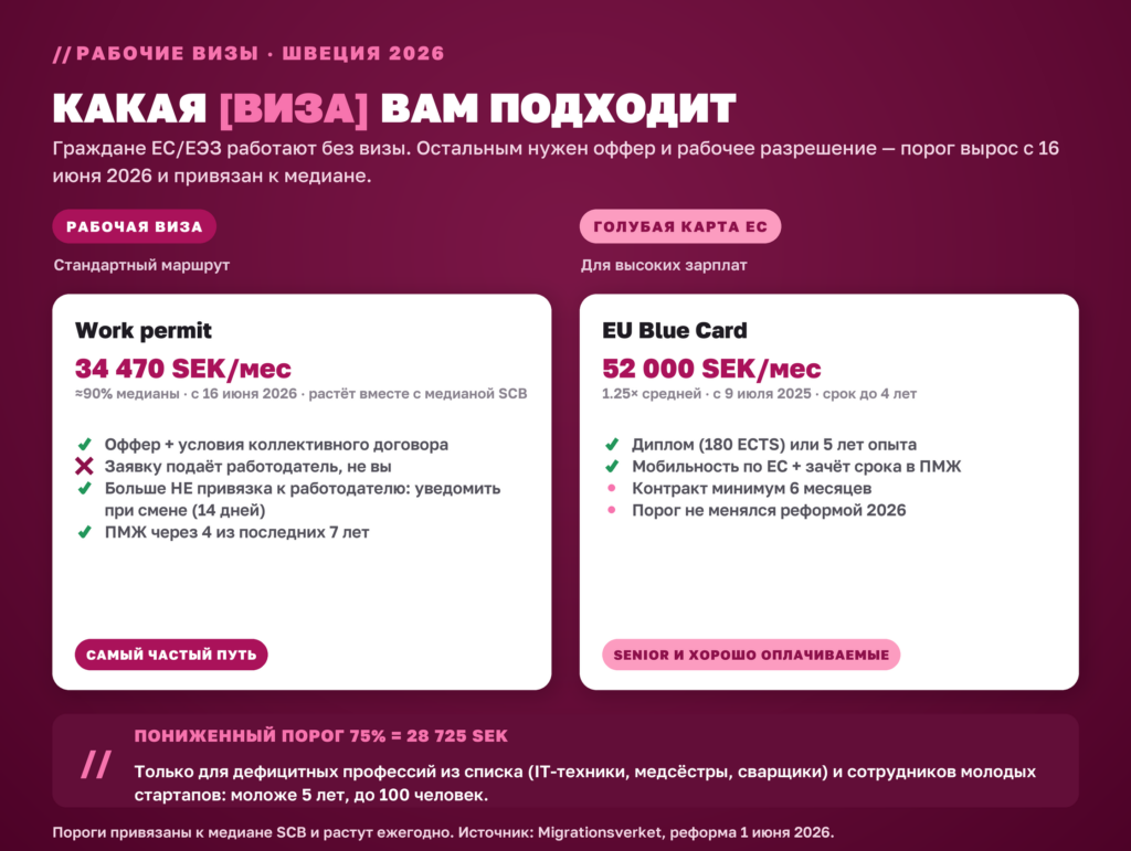 Рабочие визы Швеции 2026: обычная виза 34 470 SEK против EU Blue Card 52 000 SEK и пониженный порог 75%