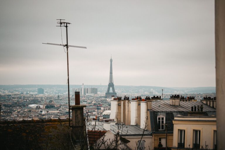 Panoramic Paris skyline with the Eiffel Tower and Haussmann rooftops, France