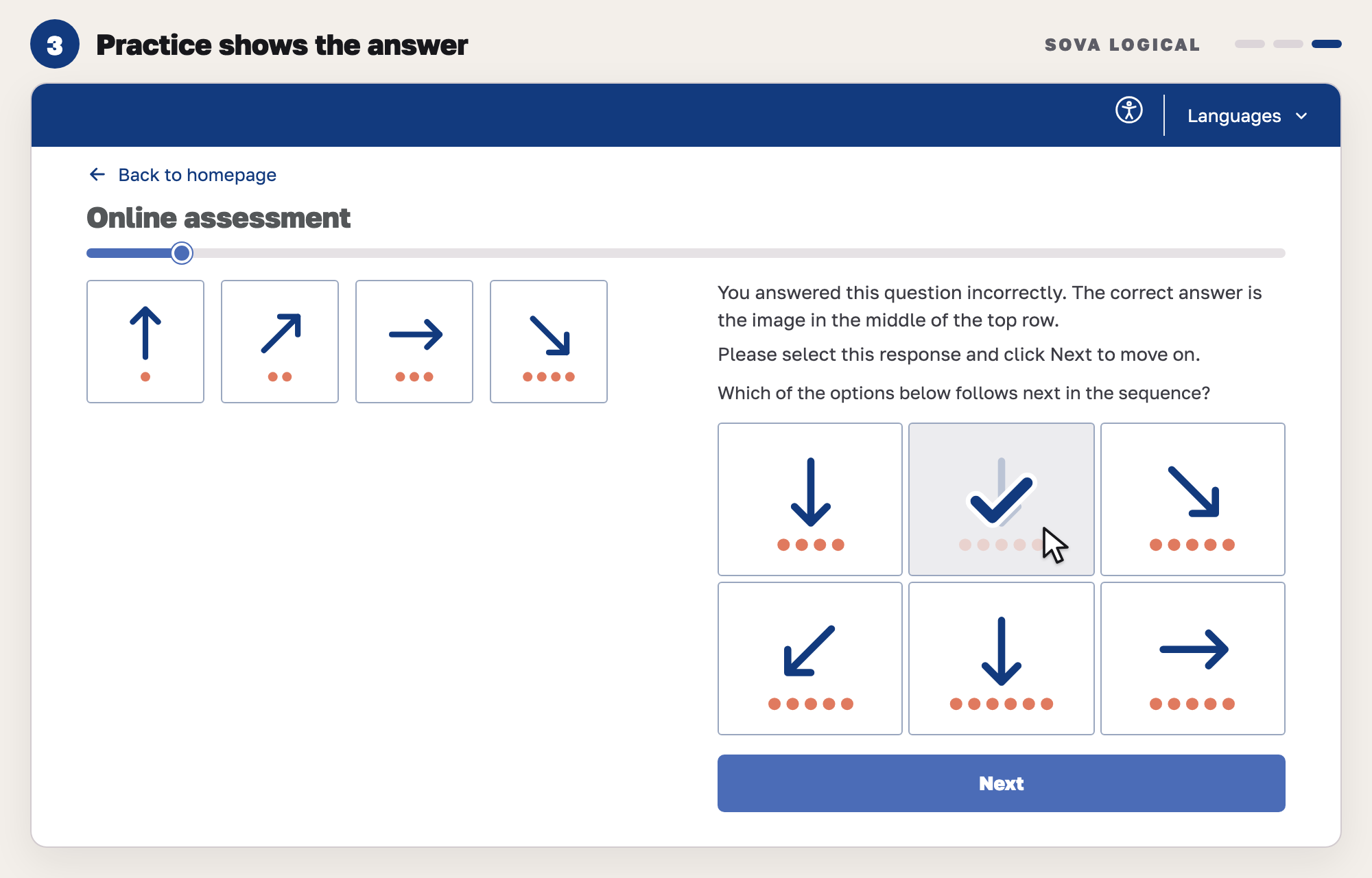 Our drawing of practice feedback on a logical question: text above the options says the answer was wrong and names the image in the middle of the top row, which is now picked with a tick.