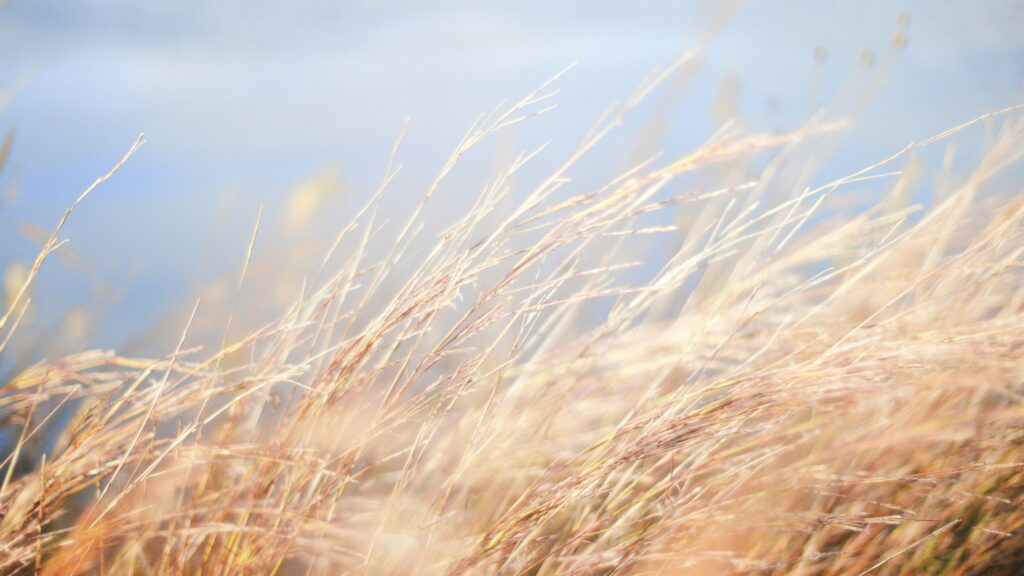 EDF Graduate Scheme Application Process: Tests and Interviews